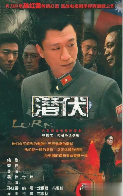 中国国产经典视频,传承与创新的艺术之旅  第2张