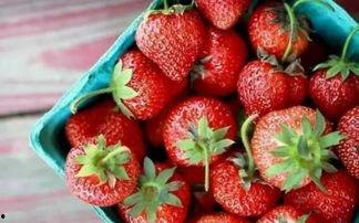 草莓国产老司机视频,揭秘草莓种植的奥秘与技巧