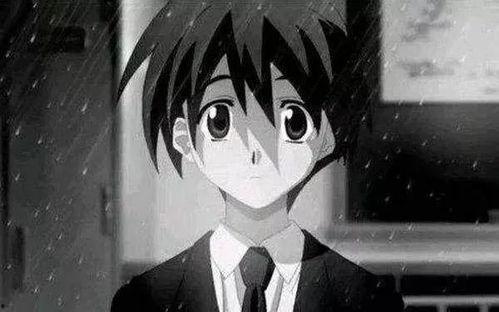 国产动漫惊现李哥视频